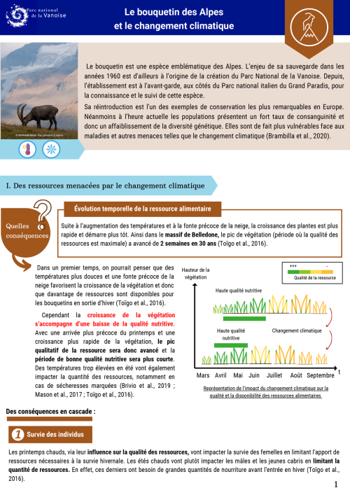 Le bouquetin des Alpes et le changement climatique