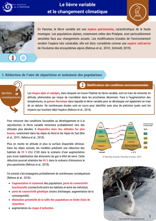 Le lièvre variable et le changement climatique