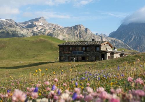 val-cenis-termignon-refuge-plan-du-lac - Refuge du Plan du Lac à Val Cenis-Termignon en été