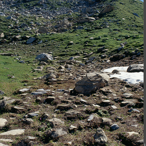 1pnv002723-pn-vanoise-perrier_jacques-1600px.png