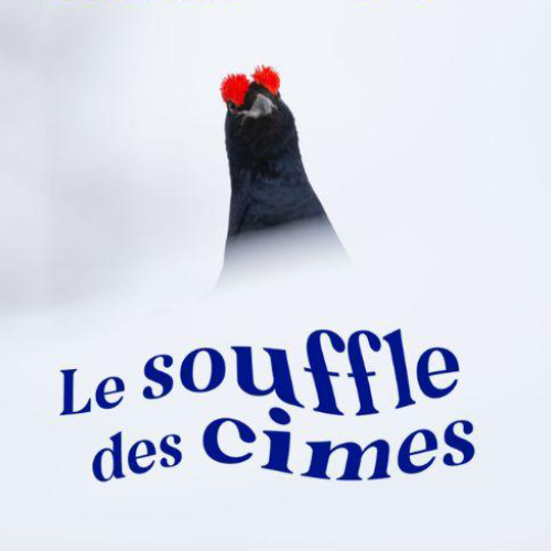 Pochette série Souffle des cimes