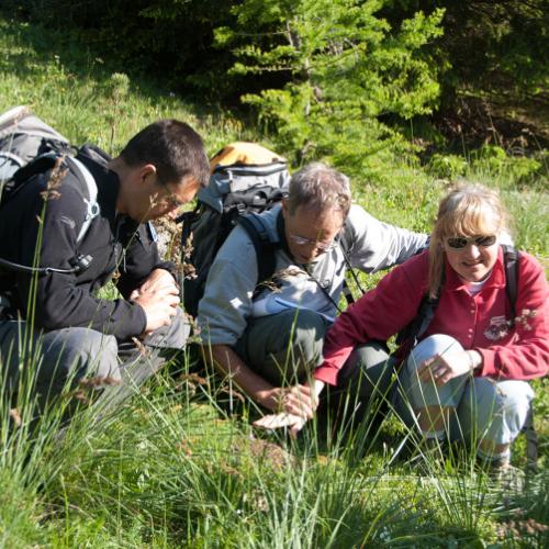 3pnv001513-pn-vanoise-bregeon_sebastien-750px.jpg