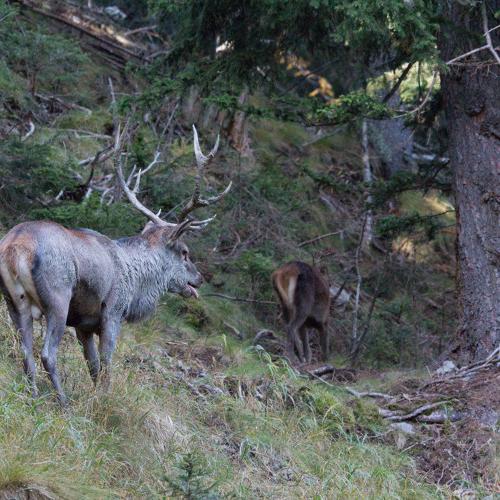 3pnv011026-pn-vanoise-ployer_jean-yves-750.jpg