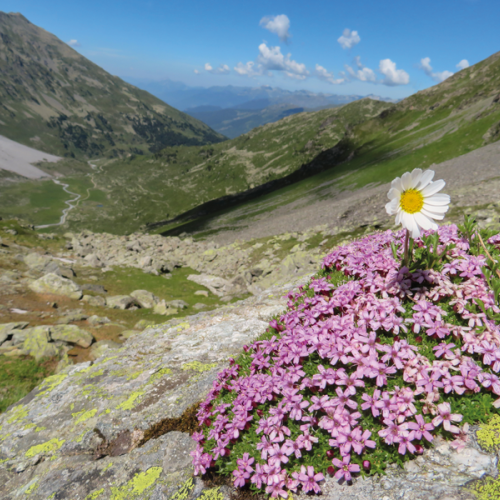 3pnv017587-pn-vanoise-mira_isabelle-03b_cmjn.png