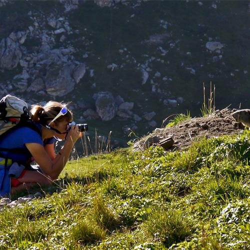 3pnv018113-pn-vanoise-le_ralle_marion-750px.jpg