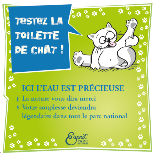 epn_toilette_chat.png