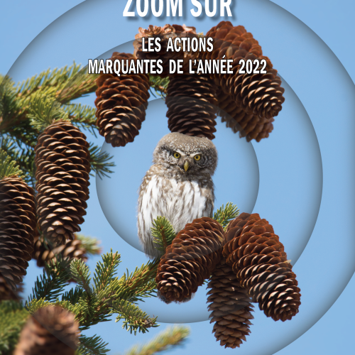 pages_de_zoom_actions_marquantes_2022_web.png