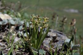 1pnv010098-pn-vanoise-balais_christian-2000px.jpg