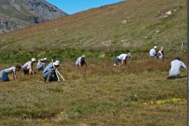 3pnv005910-pn-vanoise-herrmann_mylene-900px.jpg