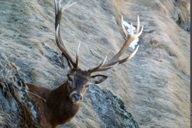 3pnv009773-pn-vanoise-gotti_christophe-1600px.png