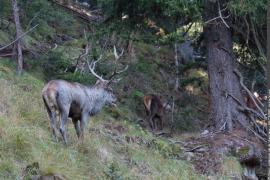 3pnv011026-pn-vanoise-ployer_jean-yves-750.jpg