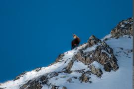 3pnv012200-pn-vanoise-beurier_mathieu-1600.jpg