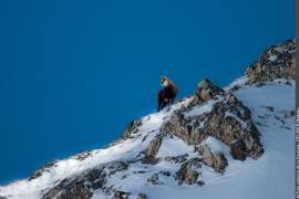 3pnv012200-pn-vanoise-beurier_mathieu-900px.jpg