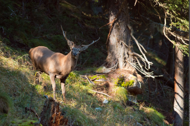 3pnv012887-pn-vanoise-buczek_jessica-1600px.png