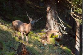 3pnv012887-pn-vanoise-buczek_jessica-750.jpg