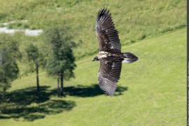 3pnv013320-pn-vanoise-ployer_jean-yves-750px.jpg