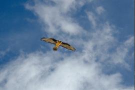 3pnv015762-pn-vanoise-gotti_christophe-1600px.jpg