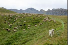 3pnv015989-pn-vanoise-gotti_christophe-750px.jpg