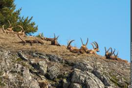 3pnv017601-pn-vanoise-bregeon_sebastien-750px.jpg