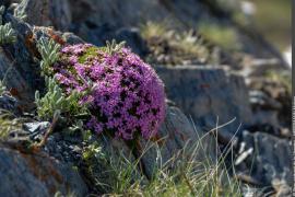 3pnv018388-pn-vanoise-herrmann_mylene-750px.jpg