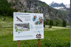 3pnv024680-pn-vanoise-rutten_celine-900px.jpg