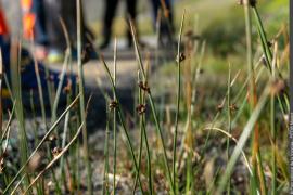 3pnv026050-pn-vanoise-pitois_margot-900px.jpg