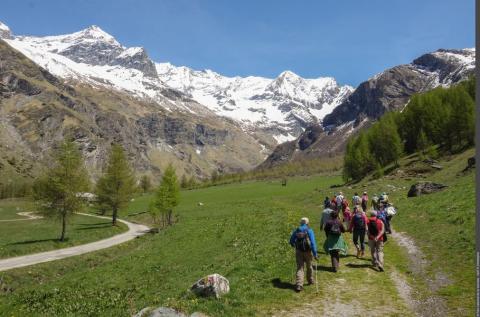 Rosuel - Sentier du GR5