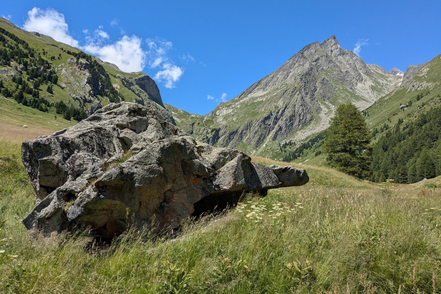 Vallon de l'Orgère