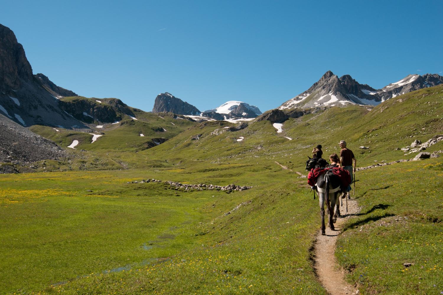 Randonneurs avec ânes au Plan de la Grassaz