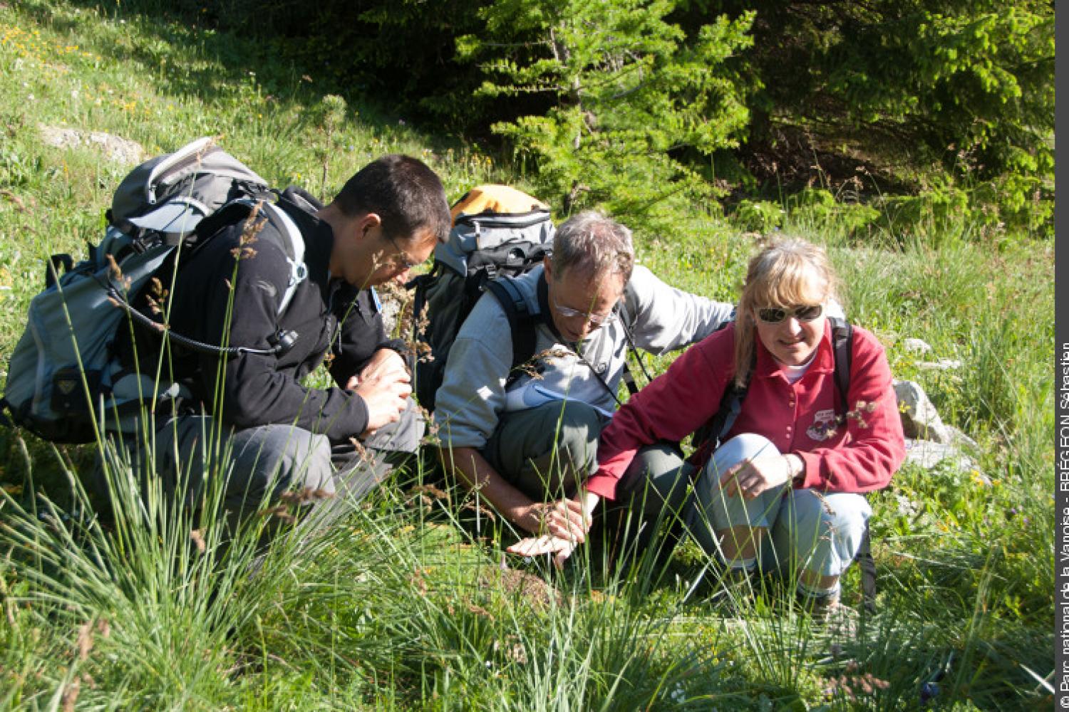 3pnv001513-pn-vanoise-bregeon_sebastien-750px.jpg