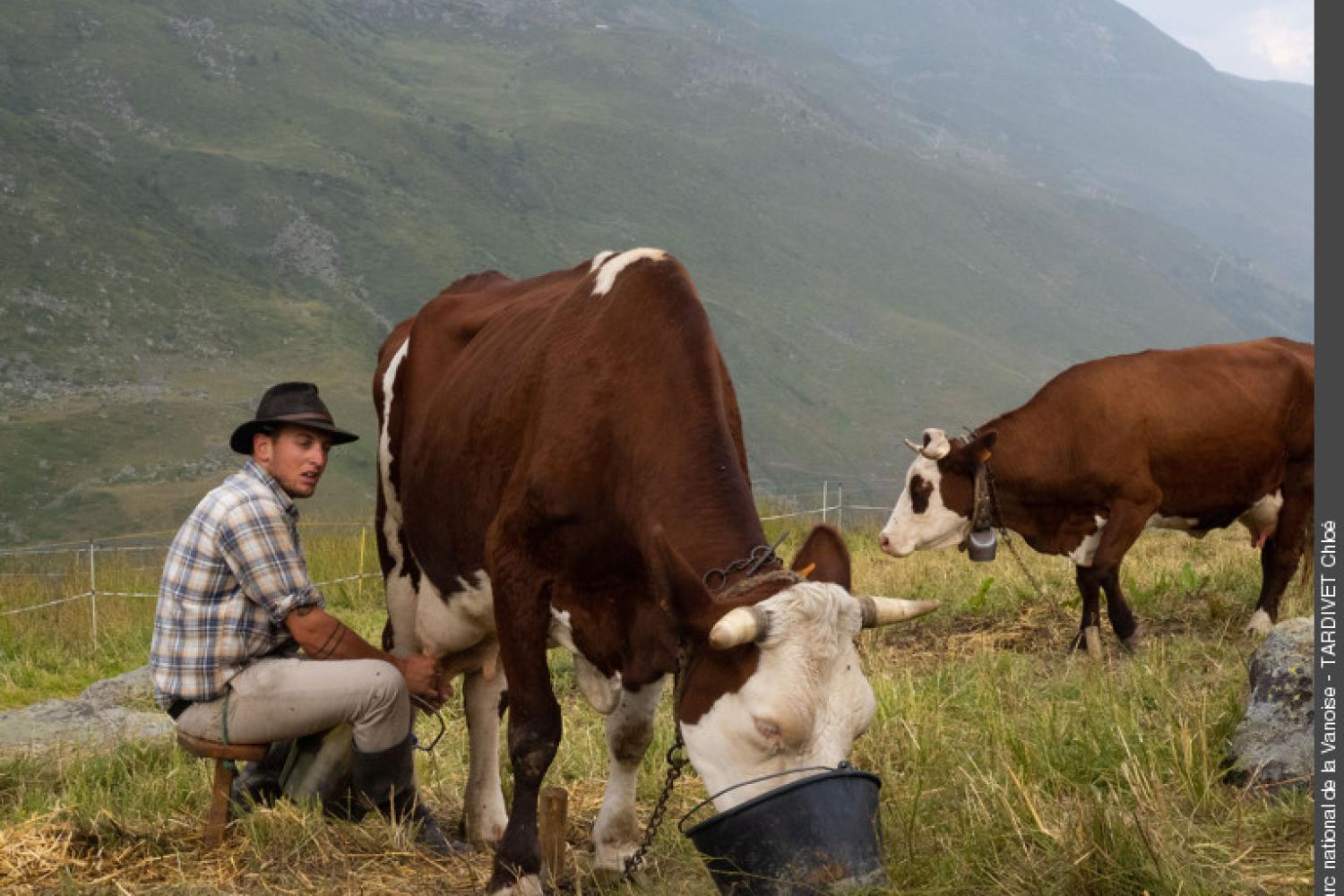 3pnv020106-pn-vanoise-tardivet_chloe-750px.jpg