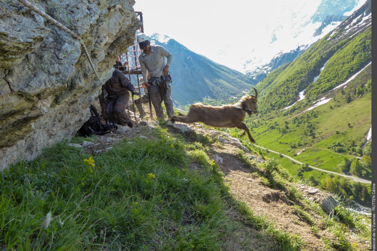 3pnv021865-pn-vanoise-rutten_celine-1200px.jpg